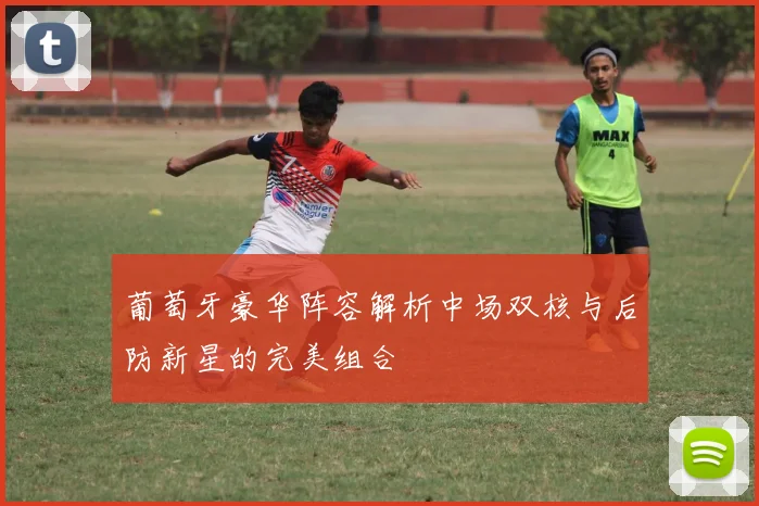 葡萄牙豪华阵容解析中场双核与后防新星的完美组合