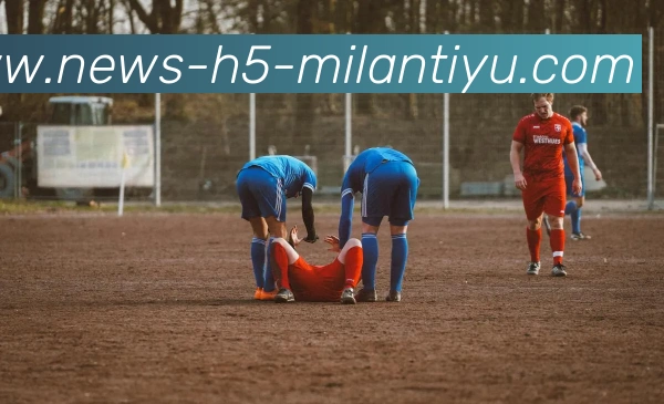 多媒体互动体验